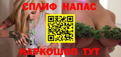 МДПВ Кингисепп