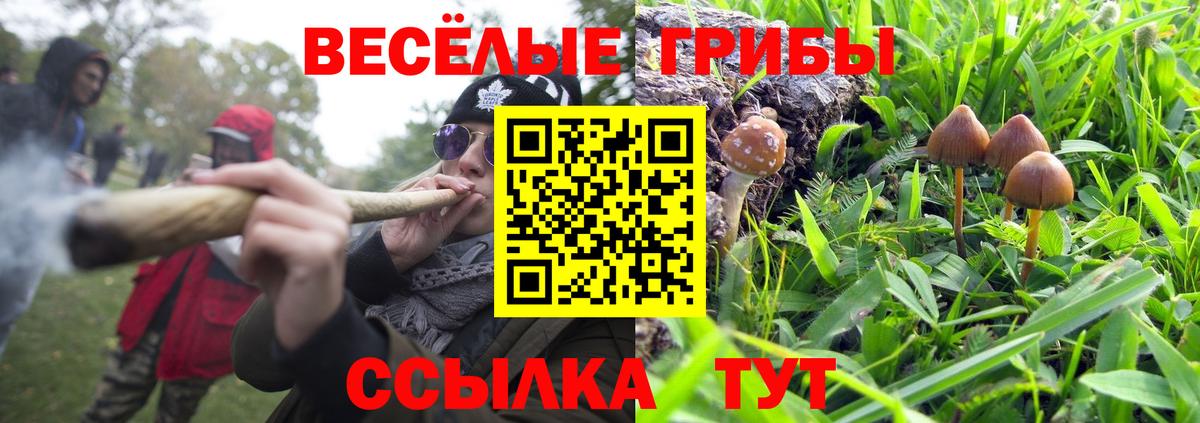 Псилоцибиновые грибы мухоморы  Псилоцибиновые грибы Cubensis  Краснодар  Вход с VPN 